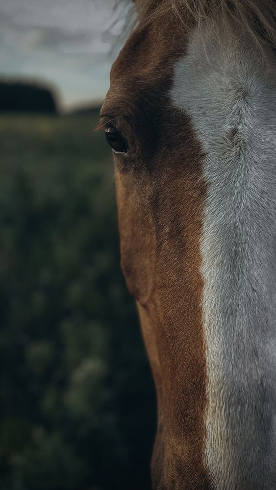 Photograph by Ксения Гулькова