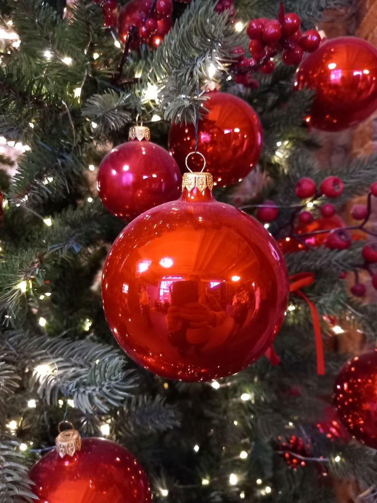 Фотография автора Анастасия