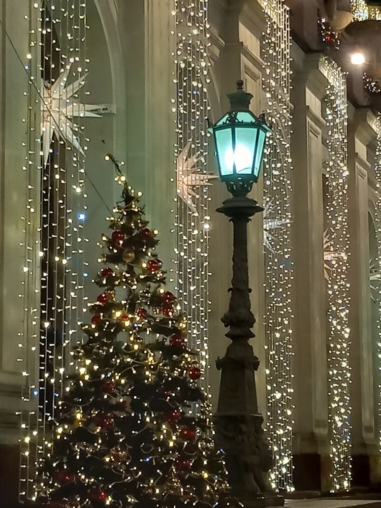 Фотография автора Анастасия