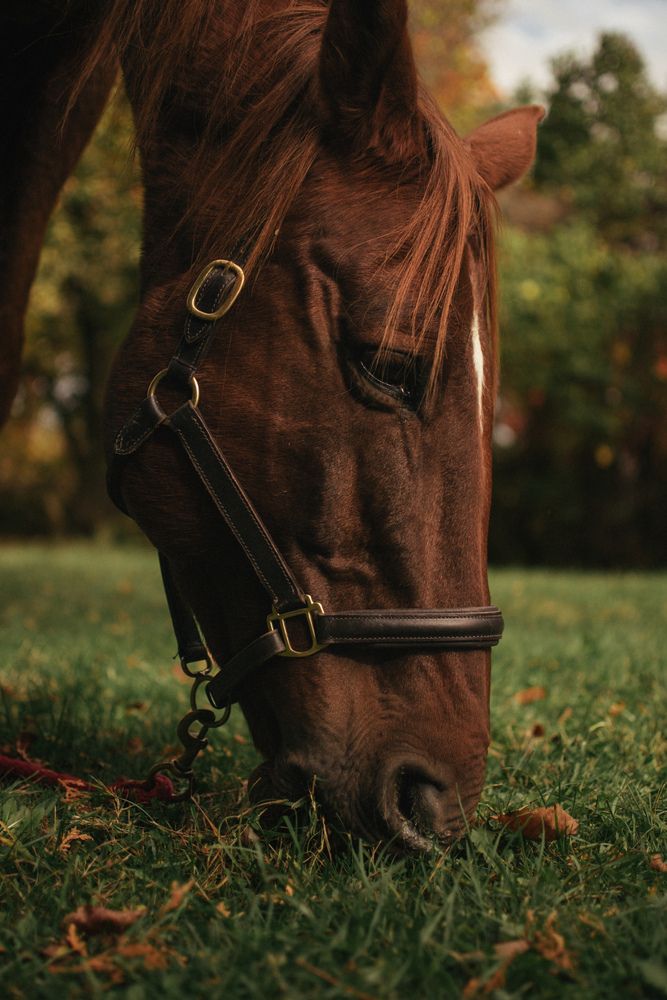 Фотография автора Anastasia Nikolenko