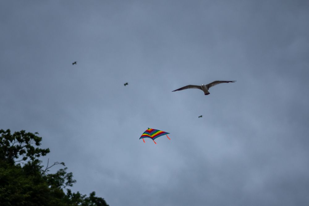 Photograph by Тимиргалеев Алексей