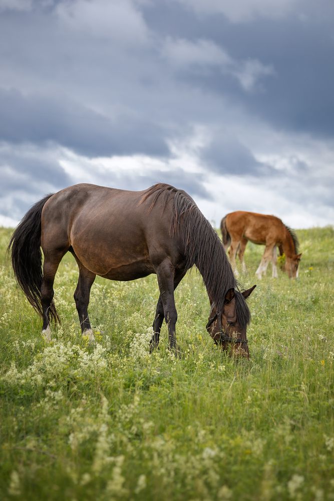 Photograph by Елена Косинова