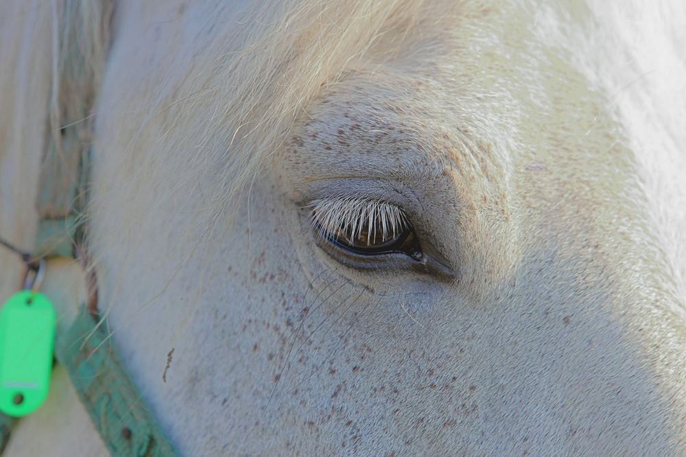 Photograph by Сергей Ключарёв