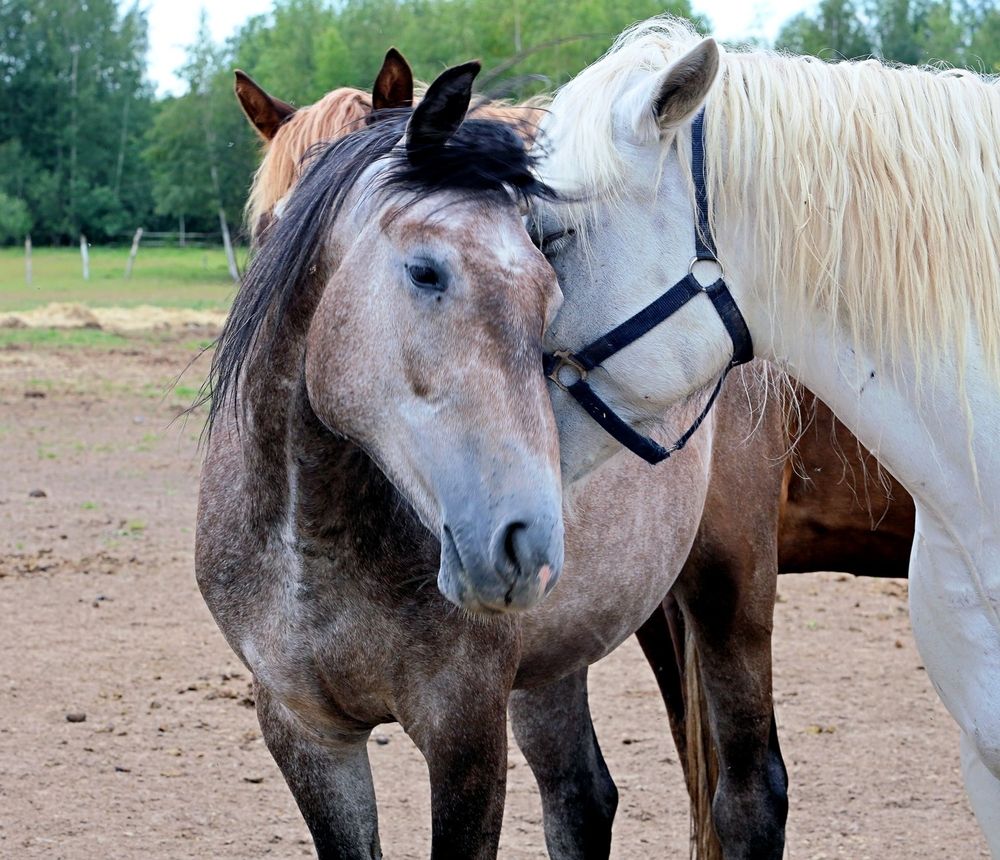 Photograph by Сергей Ключарёв