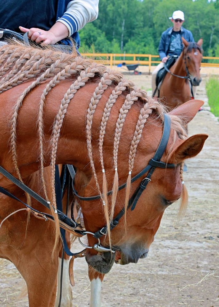 Photograph by Сергей Ключарёв