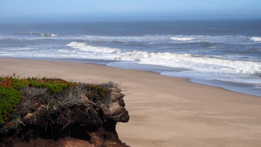 Сахалинский сфинкс