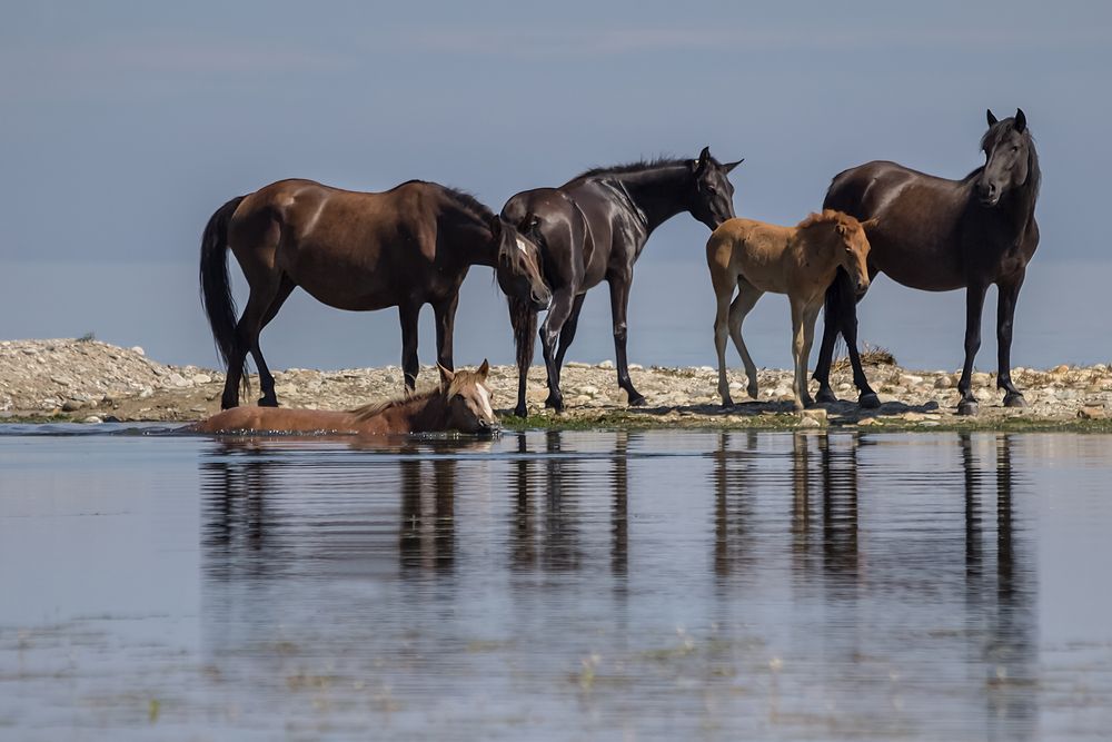 Photograph by Koledova Irina