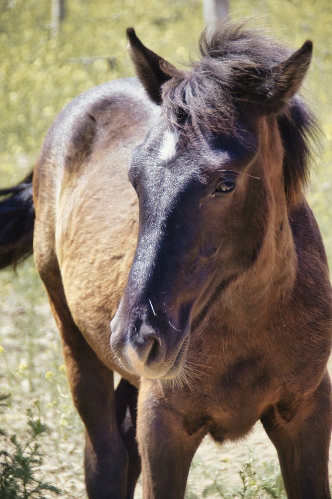 Photograph by  AlexSa