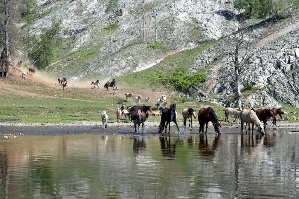 Photograph by Андрей Стародубцев