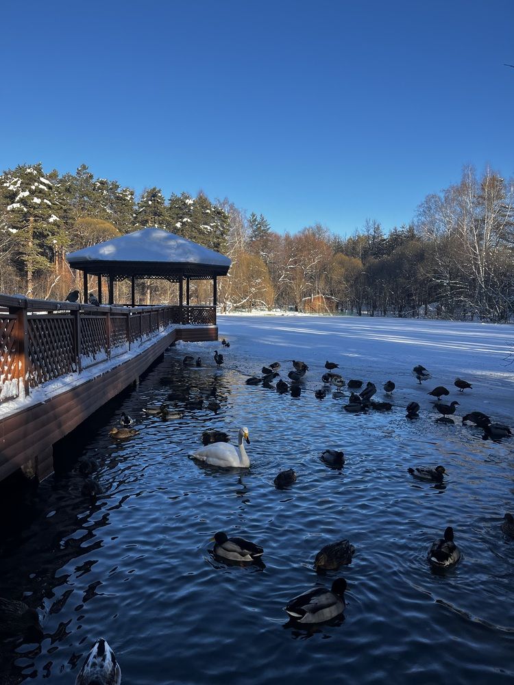 Photograph by Людмила Никитина