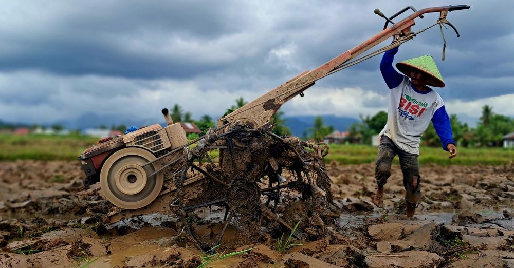 Land worker in Padang