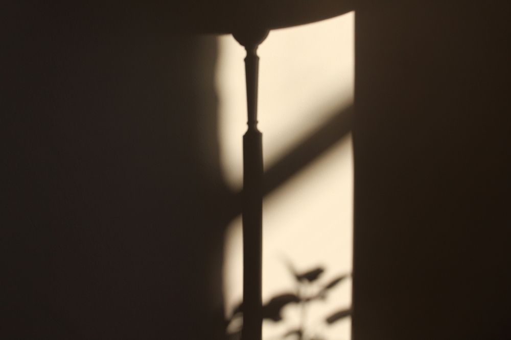 Фотография автора Юлия