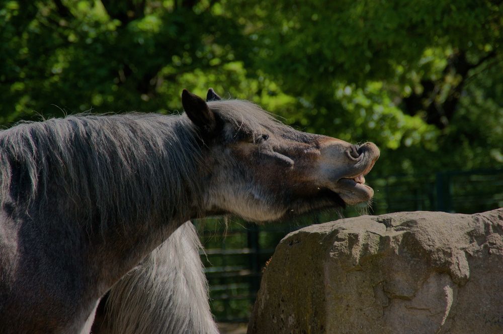 Фотография автора Sergej Roor