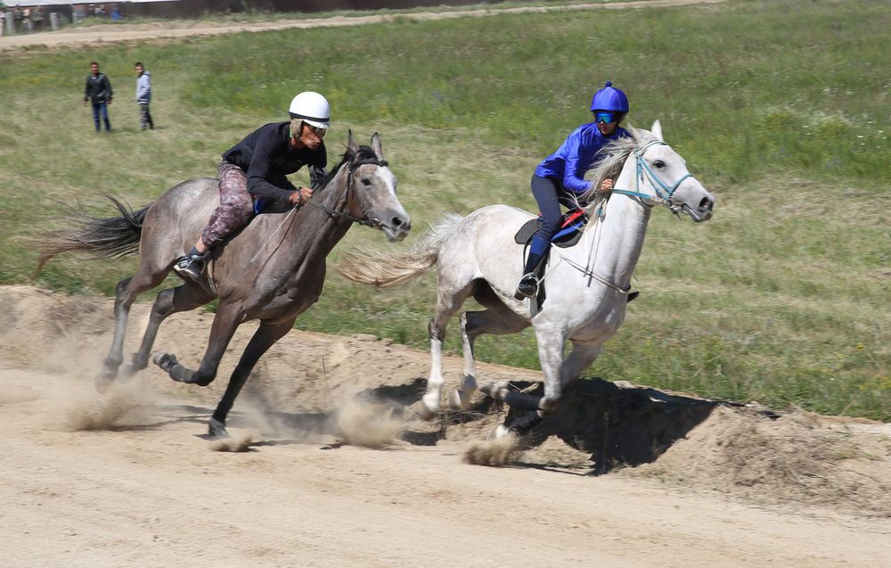 Photograph by Андрей Стародубцев