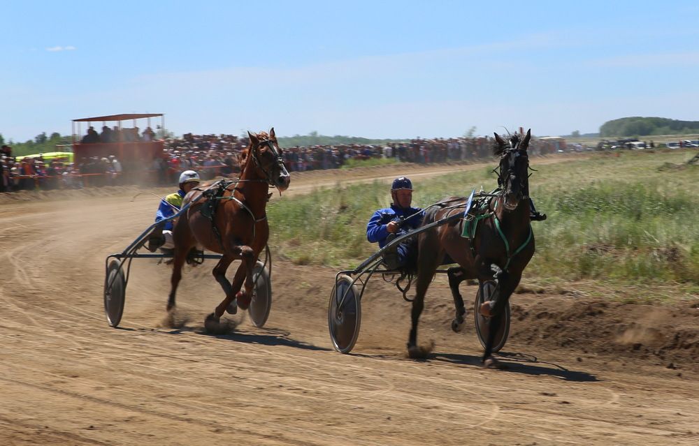 Photograph by Андрей Стародубцев