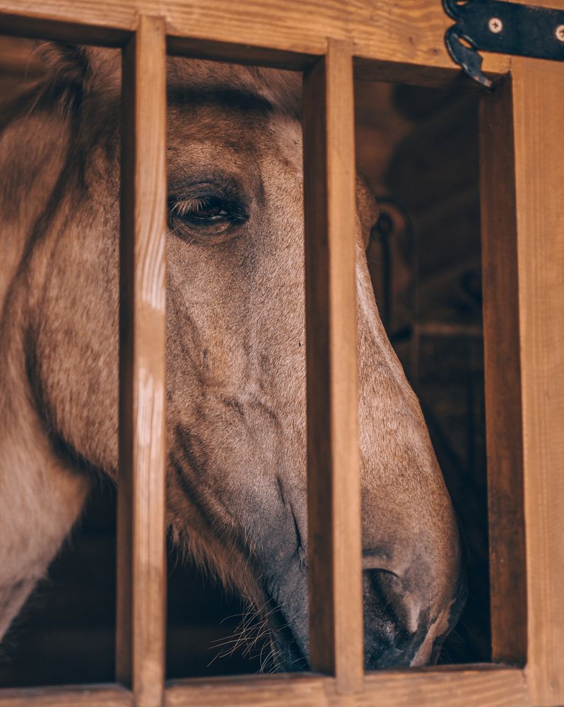 Photograph by Максим Белоус