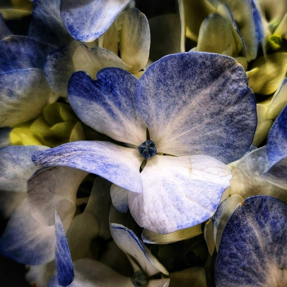 Фотография автора Татьяна Сякина