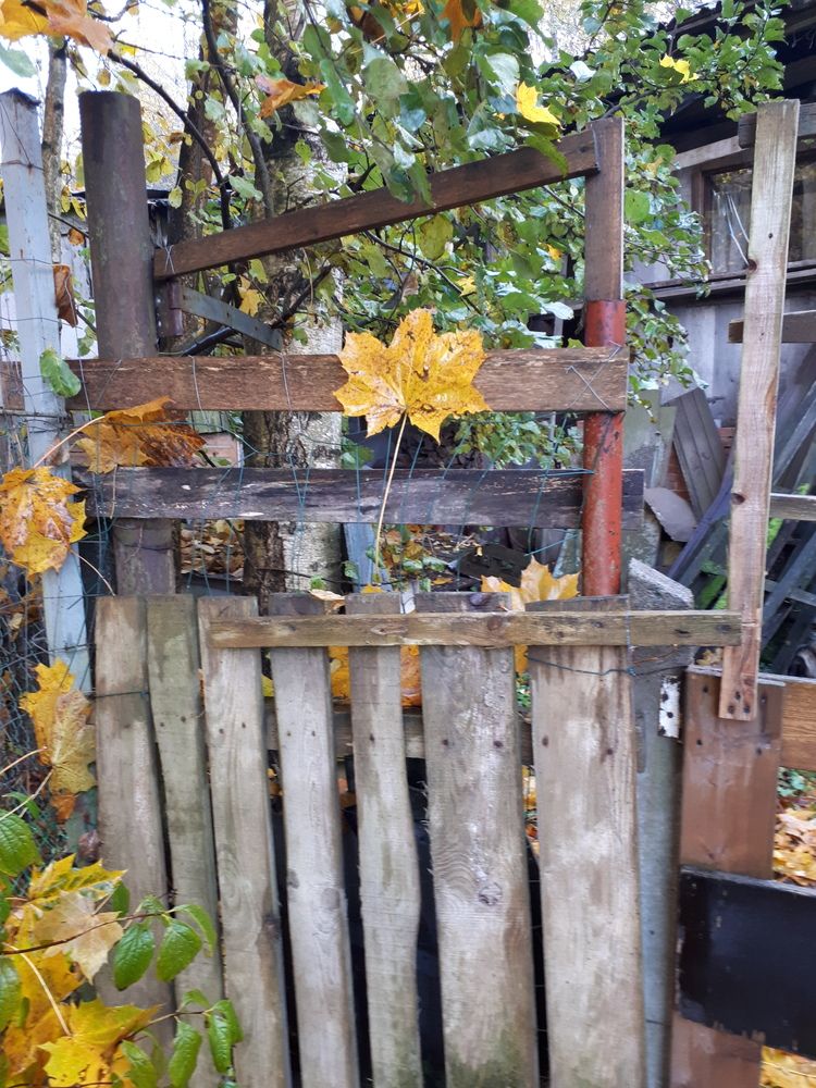 Photograph by Людмила Ковалева