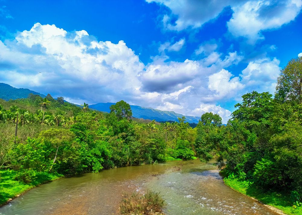 Photograph by SHRIYAKSHI