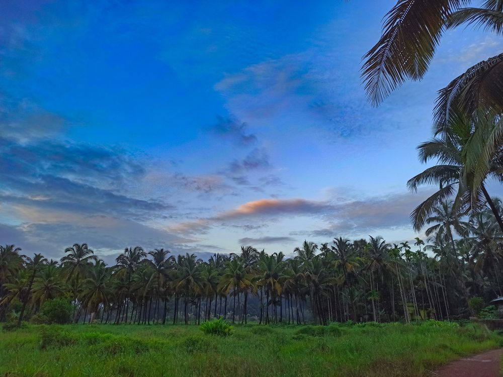 The Evening hours watching blue sky