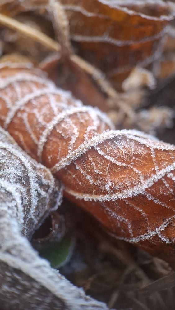 Photograph by Tatiana Kirillova