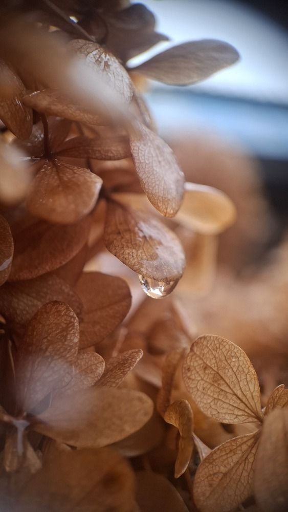 Photograph by Tatiana Kirillova