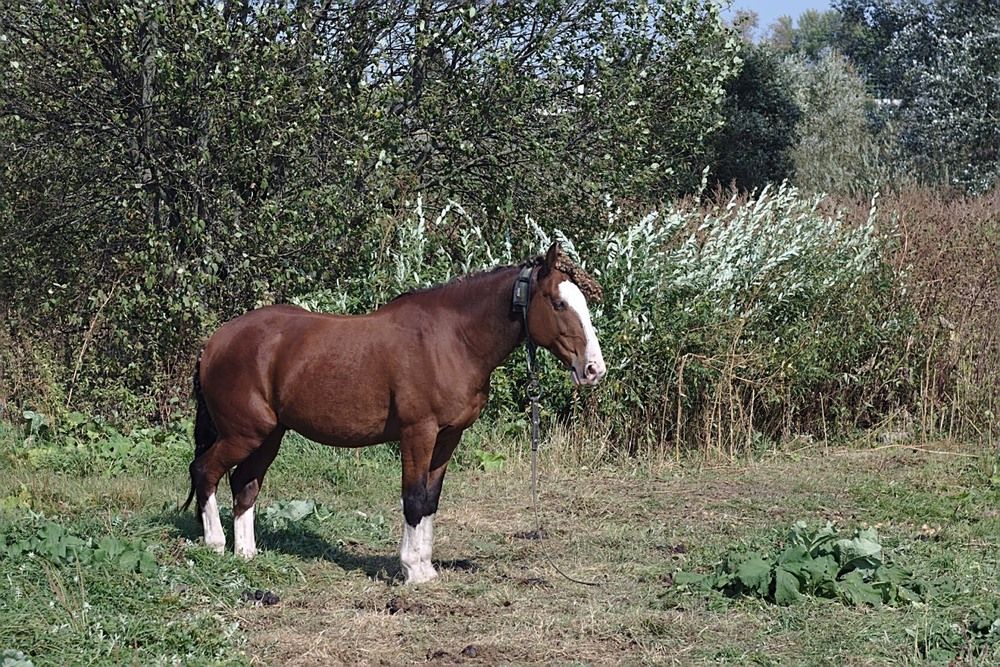 Photograph by Евгений Беленков