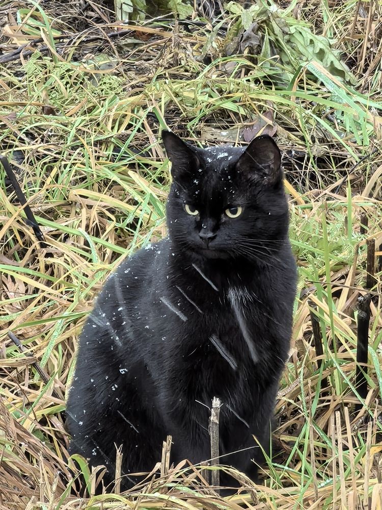 Photograph by Юлия Жереченко