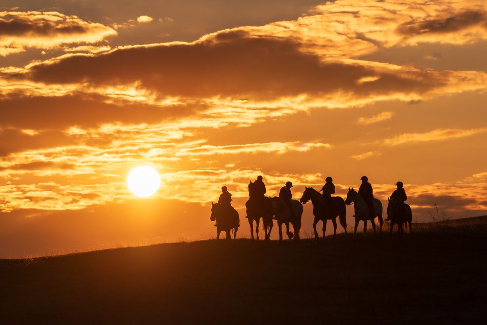 Photograph by Alin Bicas