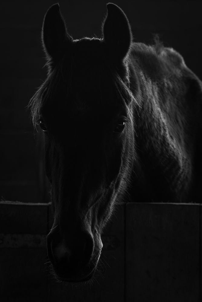 Photograph by Alin Bicas