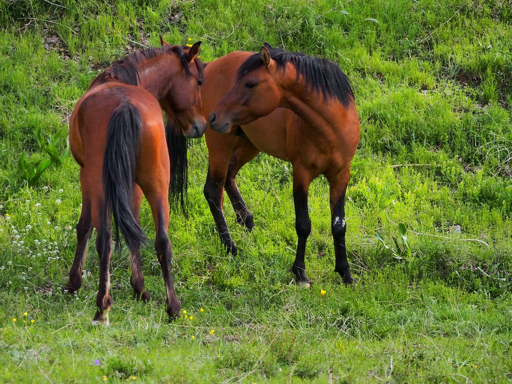 Photograph by Abdolreza Aleagha