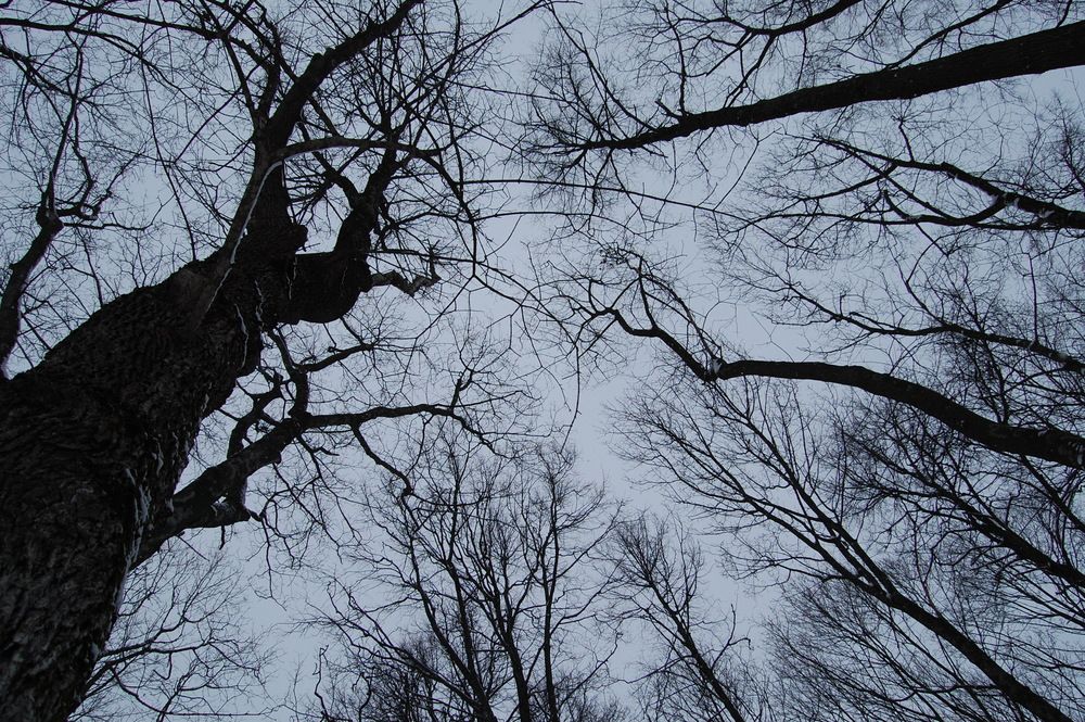 Photograph by Игорь Галеев