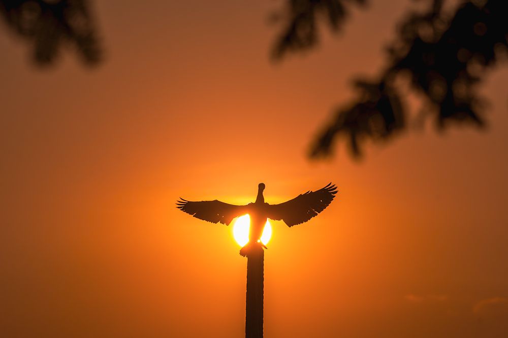 Photograph by Abhishek Pradhan