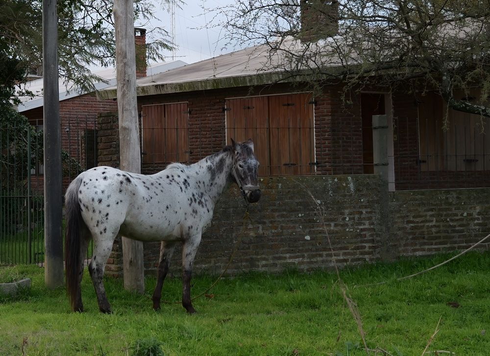 Photograph by Artur Smyrnov