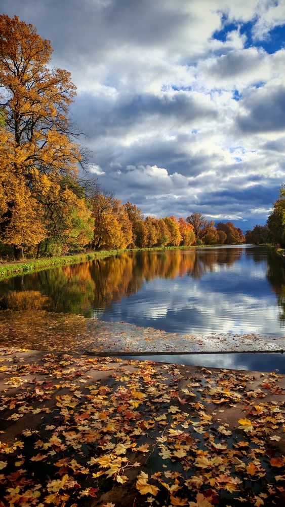 В осеннем парке