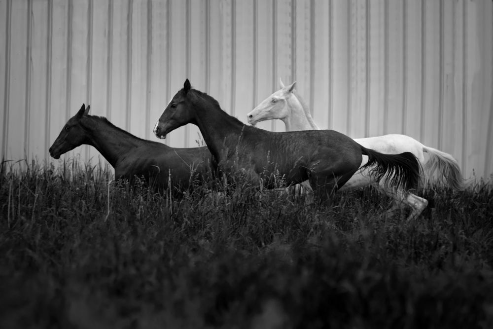 Photograph by Макари Лия