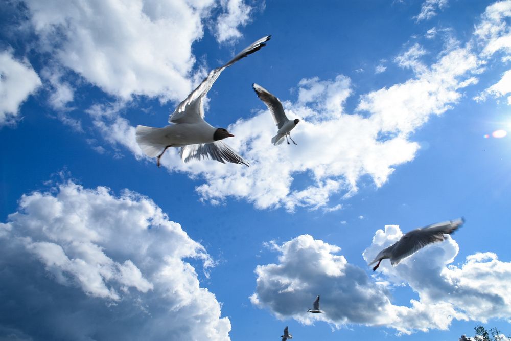 Photograph by Елизавета Турутина