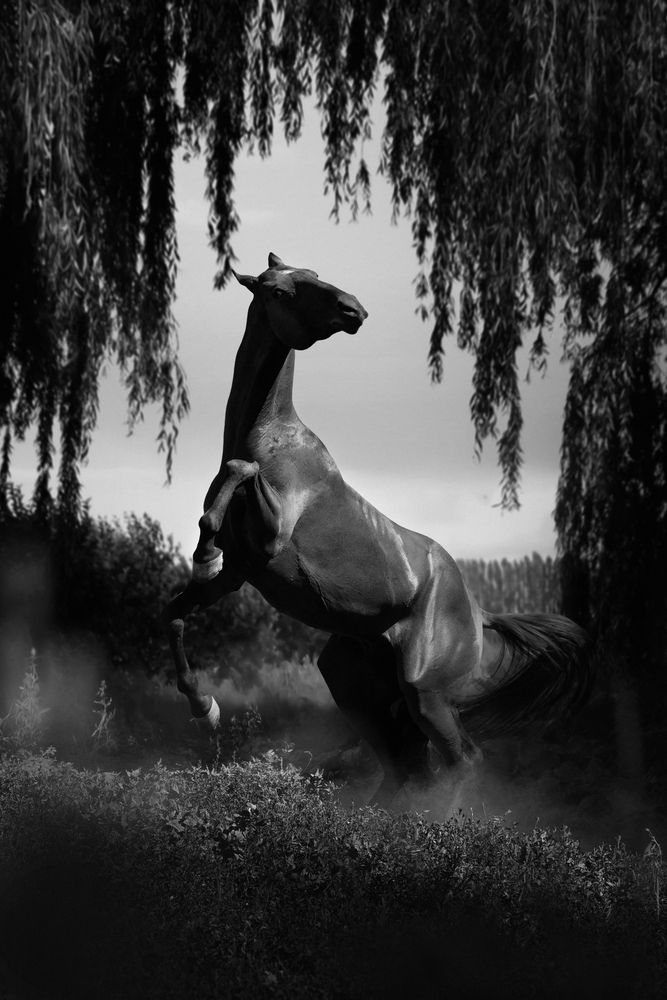 Photograph by Макари Лия