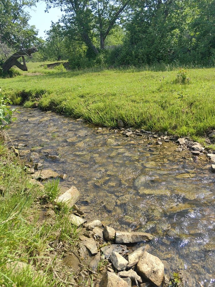 река Аргыньяш