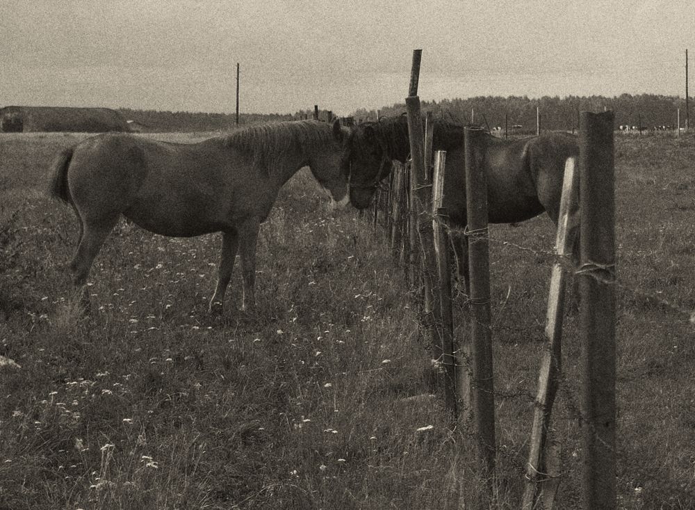 Фотография автора Prometej