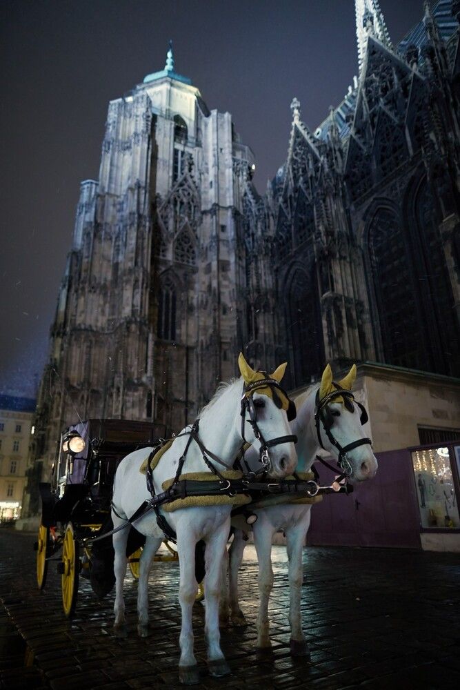 Фотография автора Prometej