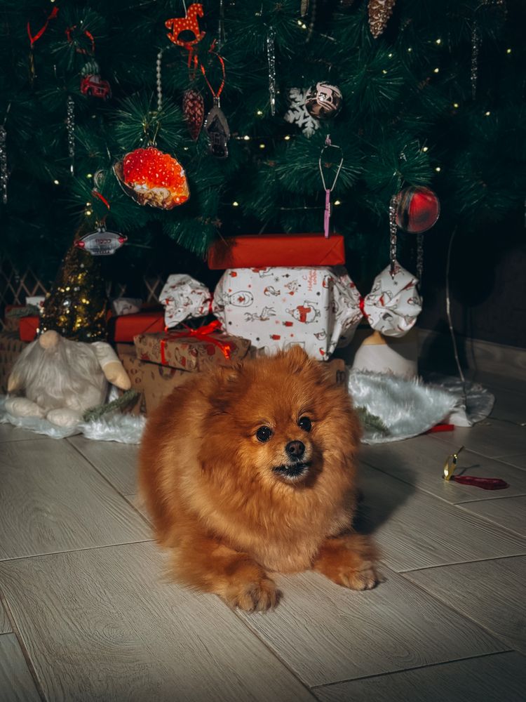 Photograph by Алёна Горошко