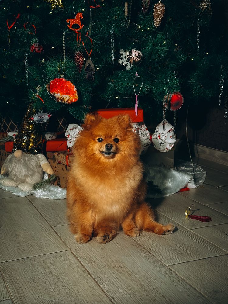 Photograph by Алёна Горошко