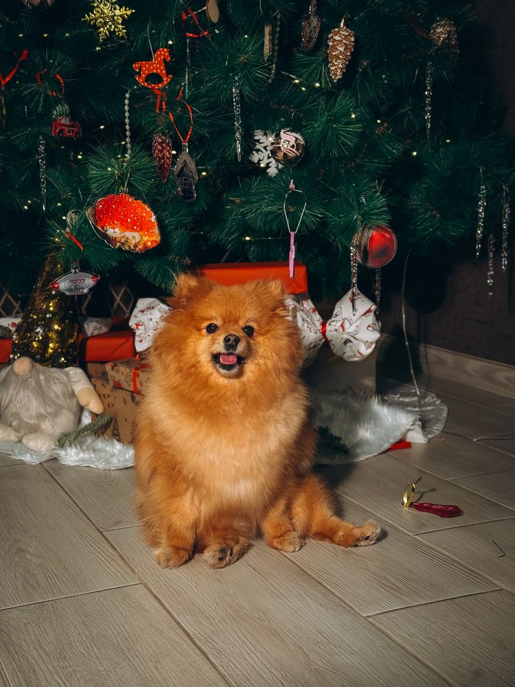 Photograph by Алёна Горошко