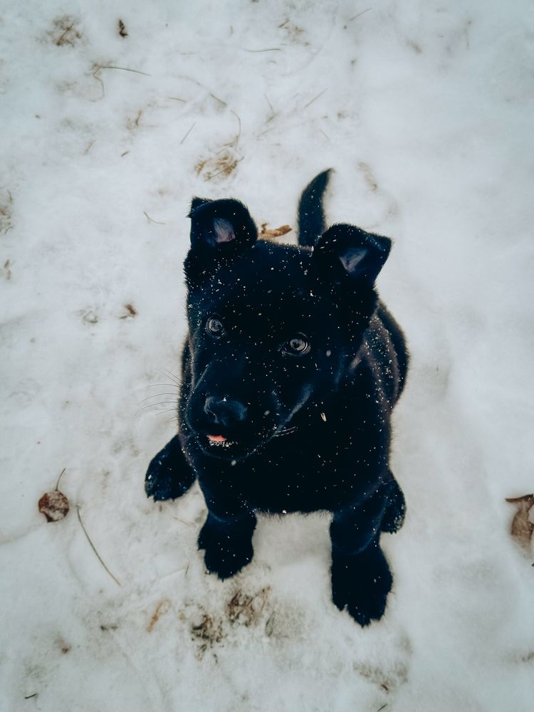 Photograph by Алёна Горошко