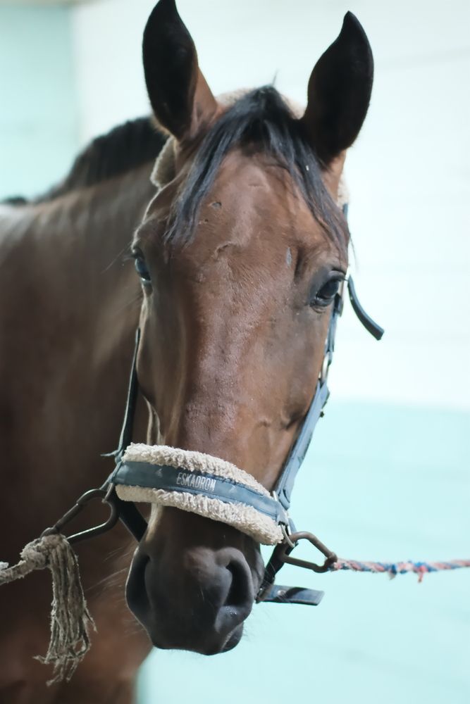 Photograph by Юлия Мельникова