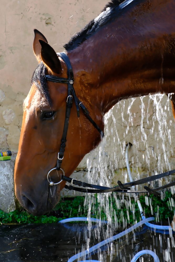 Photograph by Юлия Мельникова