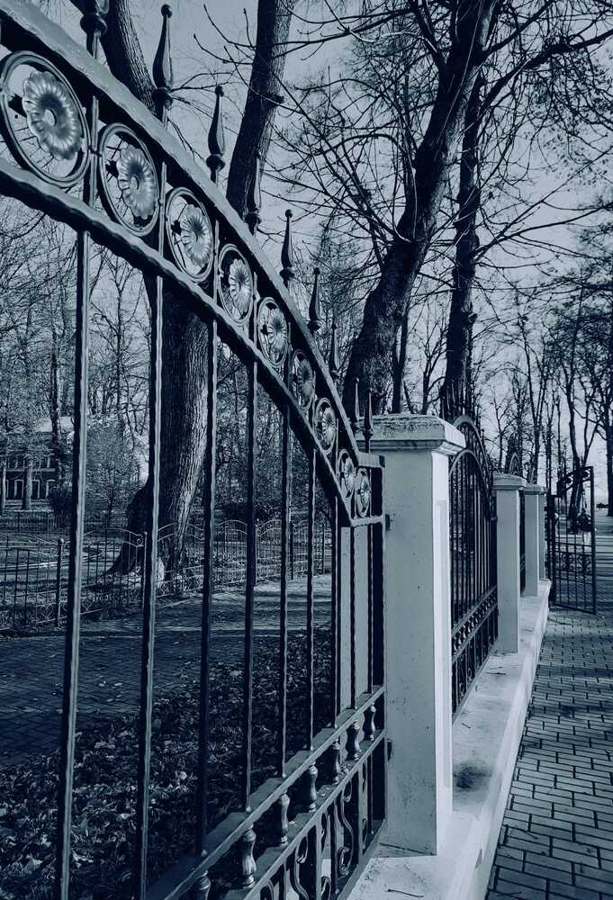 Фотография автора Юлия Юрьевна