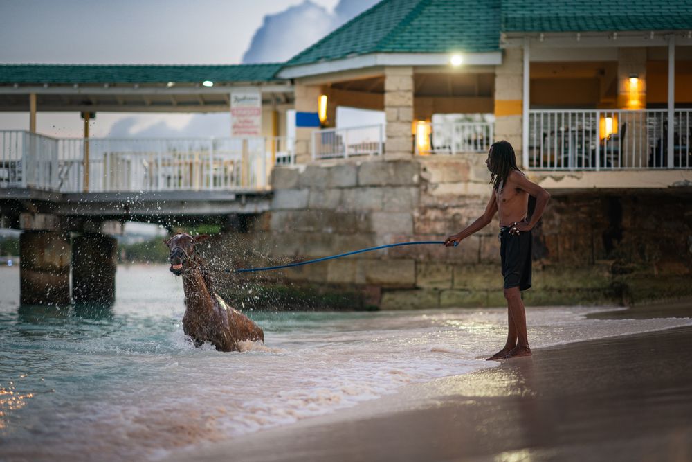 Фотография автора Bogdan Negoita
