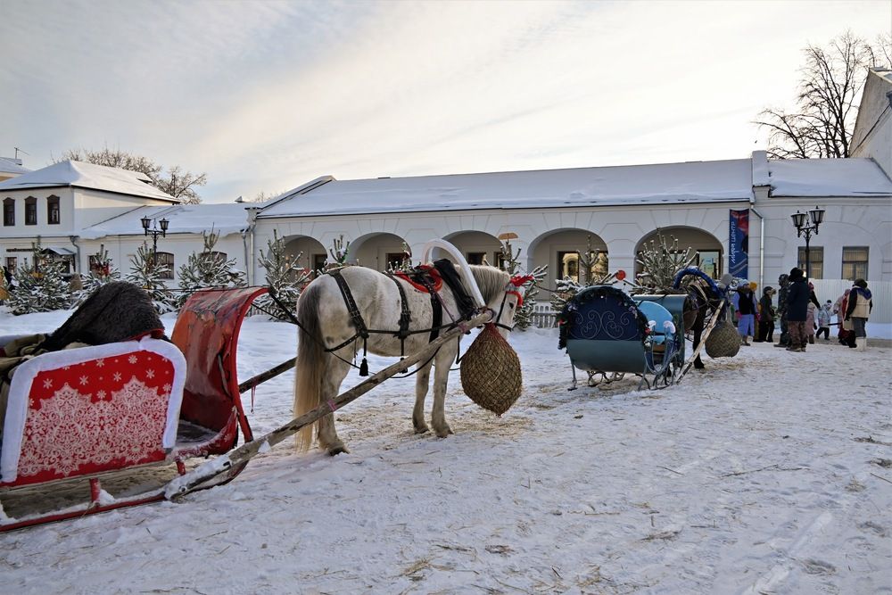 Фотография автора IRINA FILIPPOVA